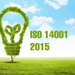 ISO 14001: Система управління екологічною безпекою